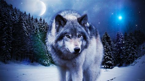 Wolf Wallpapers Pictures