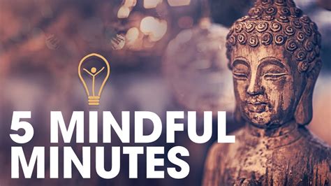 5 mindful minutes little light meditations youtube