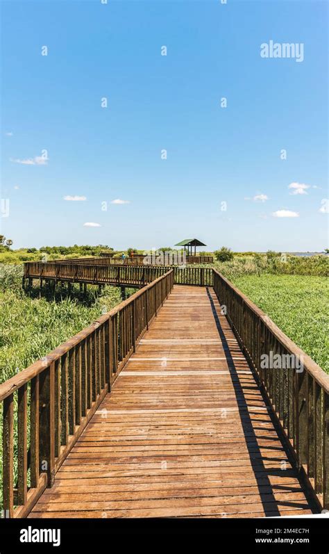 Vertical View Of Wooden Trail In A Beautiful Wetland Iberá Provincial