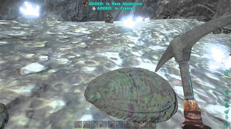 Ark Survival Evolved How To Find Far South Central Underwater Cave