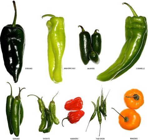 all about chile chili and chilli and the low fodmap diet fodmap everyday