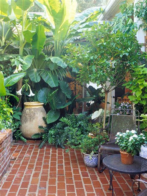 10 Awesome Ideas How To Make Small Tropical Backyard