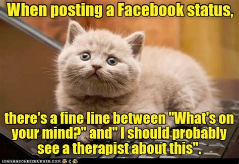 Ya Think Funny Cat Memes Silly Cats Cat Memes