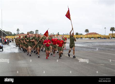 New Us Marines With Bravo Company 1st Recruit Training Battalion