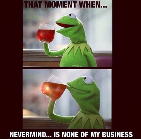 269 Best Images About Funny Kermit The Frog On Pinterest Frogs The