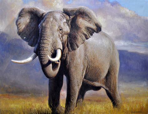 African Elephant Painting By Gabriel Hermida Pixels
