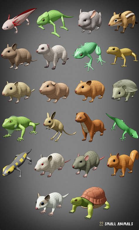 设计星素材分享平台 Blendermarket 100 Animals Base Meshes For Blender 3dmodel