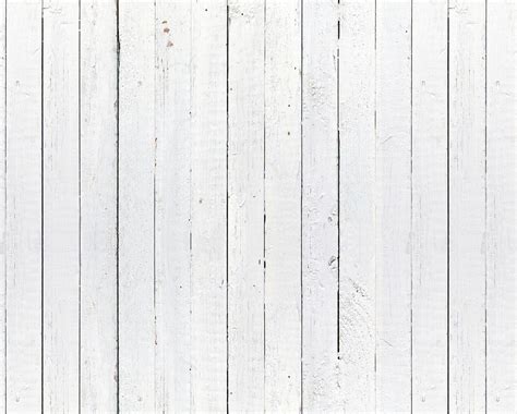 White Wood Seamless Texture Terrebook