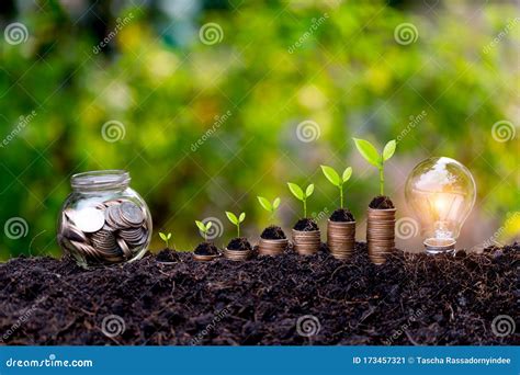 Savings Growth Conceptplant Sprouting From The Ground Stock Image