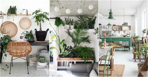 I decided i wanted to share with. Indoor Plant Decor Ideas To Freshen Up Your Home