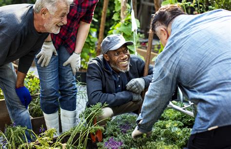 Horticultural Therapy Are There Benefits To Guided Gardening