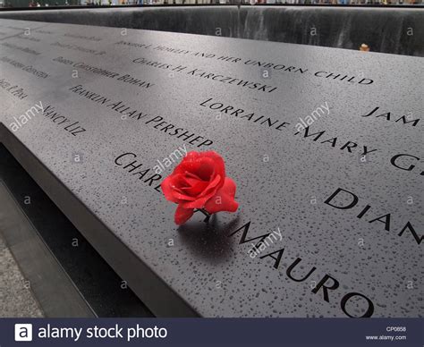 A Single Red Rose Placed At The Name Of A Victim At The 911 Memorial