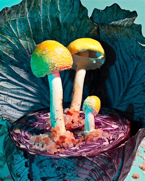 14 Famous Mushroom Artists