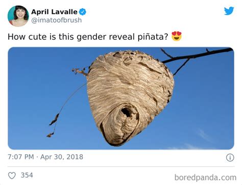 45 Of The Most Savage ‘gender Reveal Party Memes After People Learned It Was The Cause Of An