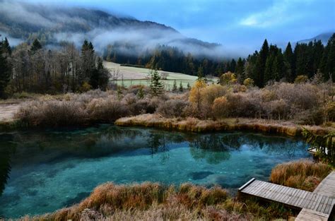 Zelenci Nature Reserve