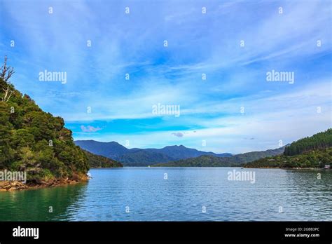 A View Of Queen Charlotte Sound In New Zealands South Island Stock