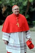 Cardinal Angelo Sodano, Vatican power who dismissed sexual abuse, dead ...
