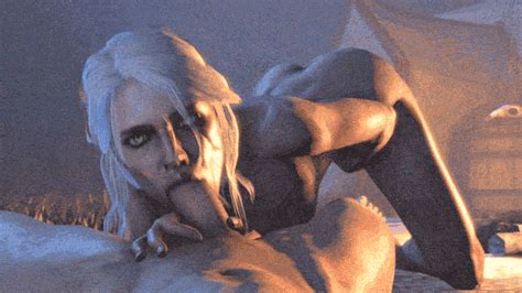 The Witcher Porn  Animated Rule 34 Animated