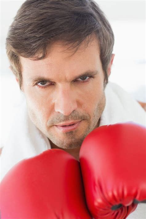 Closeup Portrait Of A Determined Male Boxer Stock Photo Image Of View