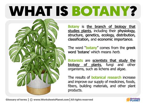 What Is Botany Definition Of Botany