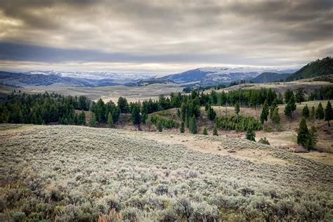 Some Yellowstone National Park Roads Reopen On April 15 The National