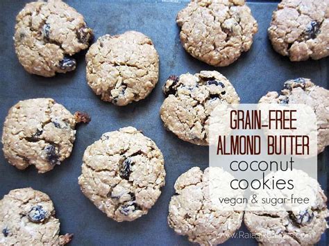 Sugar substitutes from plant sources fit into vegan diets and provide a sweet taste in vegan muffins, pastries, pies, cakes, beverages, desserts and other some health food stores sell bags of granulated fructose for replacing sugar in recipes, adding to coffee or tea and dusting on top of vegan muffins or. Almond Butter Cookies with Coconut - low-carb | Whole New Mom