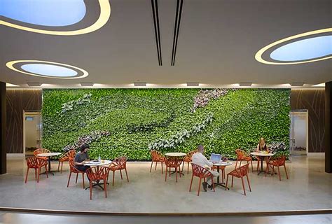 Biophilic Design Why Nature Matters Human Spaces