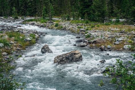 Premium Photo Powerful Mountain River Flow Through Forest Beautiful