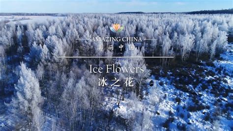Amazing China 美丽中国 Ice Flowers 冰之花 Youtube