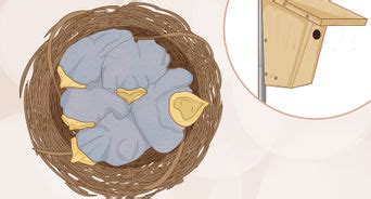 How to Build a Wood Duck House: 12 Steps (with Pictures) - wikiHow