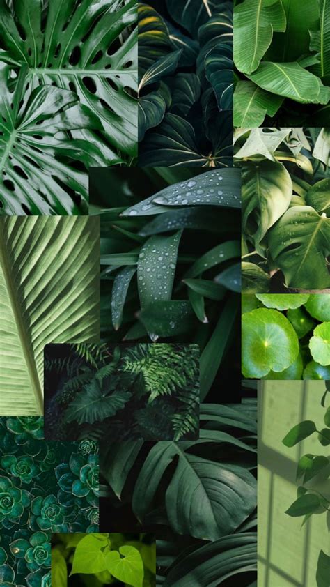 Check Out Gabrielleyowells Shuffles Green Aesthetic Wallpaper Plants
