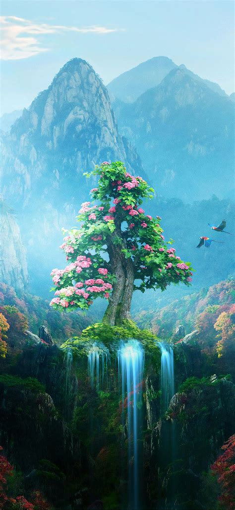 Magic Nature Wallpapers Top Free Magic Nature Backgrounds