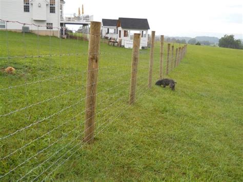 Maybe you would like to learn more about one of these? Constructing a woven wire field fence - PICS | Page 3 ...