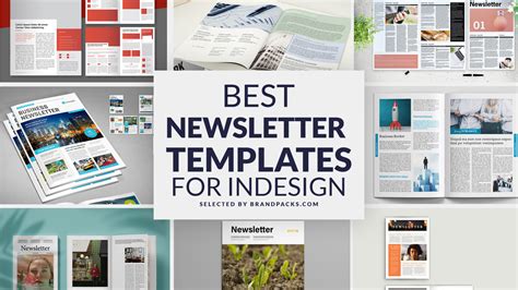 25 Best Newsletter Templates For Indesign Brandpacks