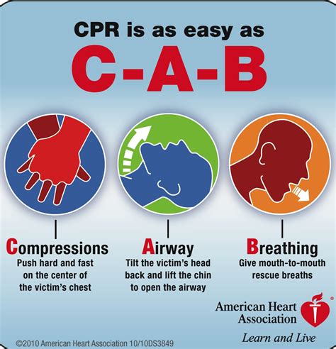 Steps Of Cpr Chase Comprehensive Health And Safety Education Llc