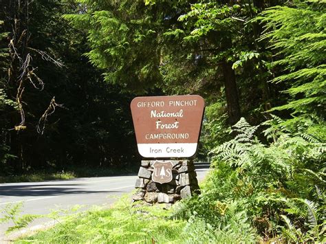 500000 In Forest Funds Designated For Ford Pinchot National Forest