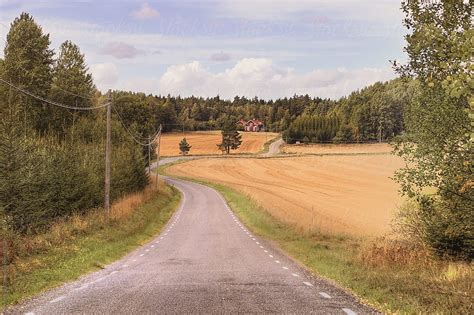 Travel In Swedish Nature With Fields And Forest Sweden By Stocksy