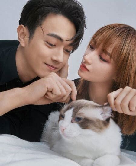 Xu Kai And Cheng Xiao Relationship And Dating Updates 2022 Kfanhub