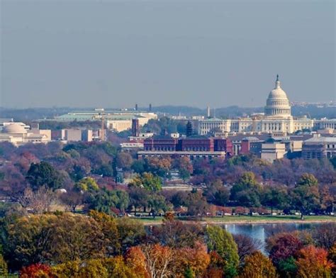 Sports betting industry, including an interactive map of where you can play, news updates, and an extensive faq. Lawmakers Poised To Legalize Sports Betting In Washington D.C.