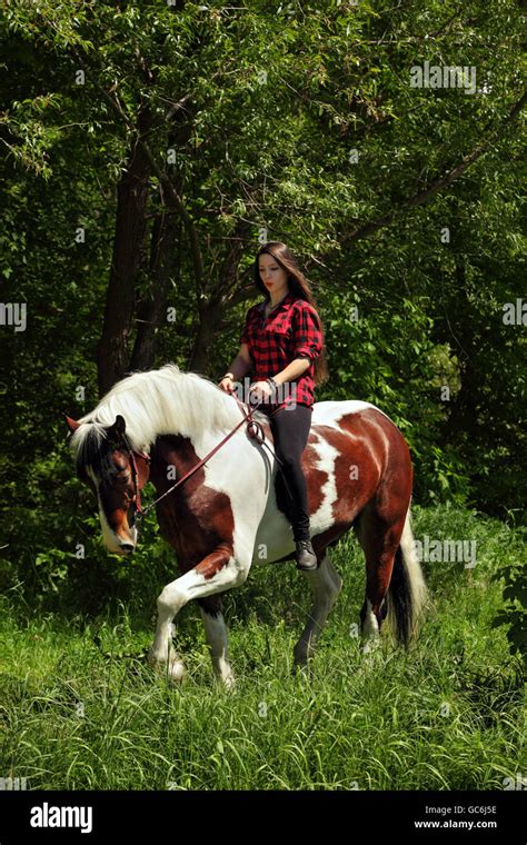 Hübsches Cowgirl Reiten Ohne Sattel Pferd Gemalt Stockfotografie Alamy