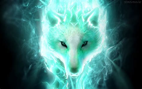 White Spirit Wolf Full Hd Wallpaper And Background Image 1920x1200