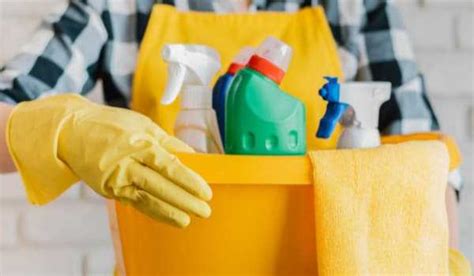 Los 10 Productos De Limpieza Indispensables Para Tu Hogar