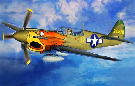 P 40 Warhawk Paintings