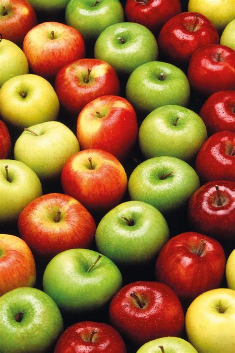 انواع التفاح بالصور اشهى والذ الفواكه حنان خجولة