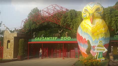 Gaziantep hayvanat bahçesi giriş ücreti 2020. Gaziantep hayvanat bahçesi açık mı? - SonHaberler