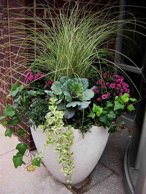 See more ideas about garden, plants, container gardening. Container Gardening Ideas - Quiet Corner