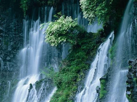 Wallpaper Forest Waterfall Nature Jungle Stream Rainforest