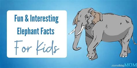 25 Fun And Interesting Elephant Facts For Kids Everythingmom