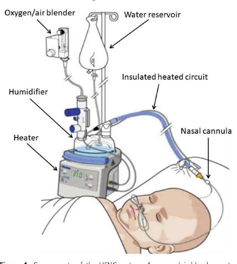 Table From Safety And Efficacy Of High Flow Nasal Cannula Therapy In The Pediatric Emergency
