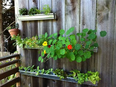 10 Rain Gutter Garden Ideas To Spruce Up Your Garden